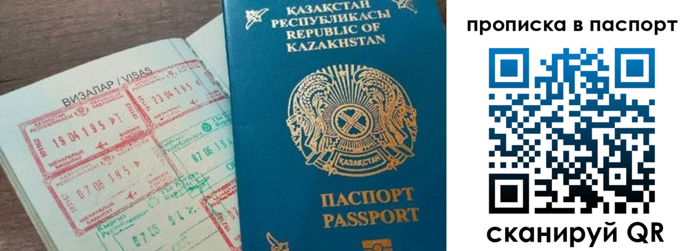 прописка поиск в Камешково
